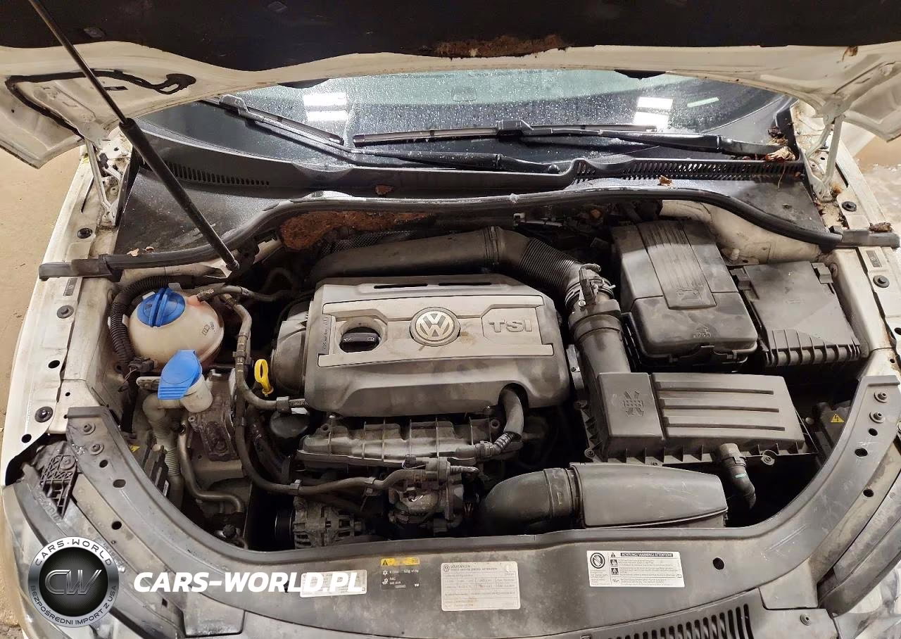 2014 VOLKSWAGEN EOS LUX VIN:WVWFW8AH5EV001909 - 11