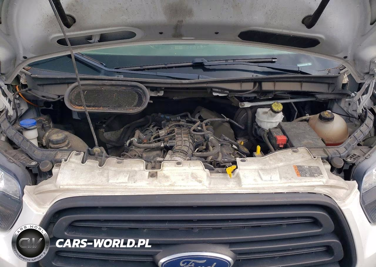 2019 Ford Transit T-250 VIN:1FTYR2XG4KKA31007 - 12