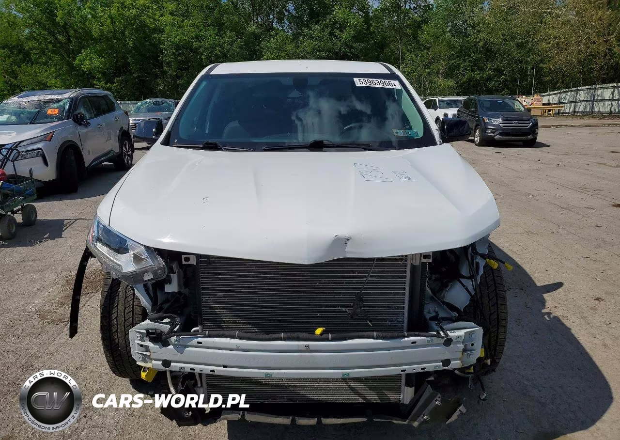 2019 Chevrolet Traverse Ls VIN:1GNEVFKW4KJ282076 - 5