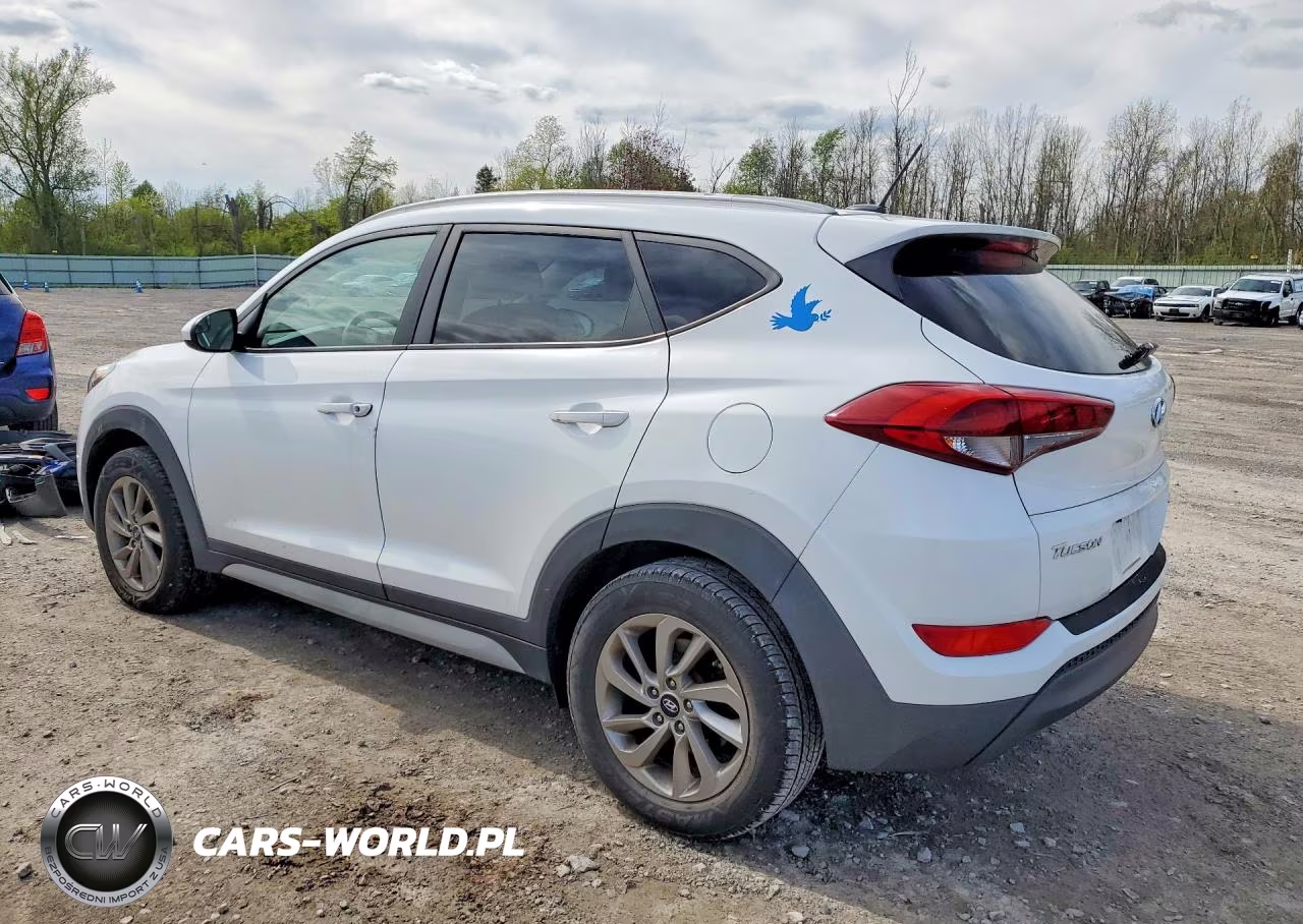 2017 Hyundai Tucson Se VIN:KM8J3CA45HU551491 - 2