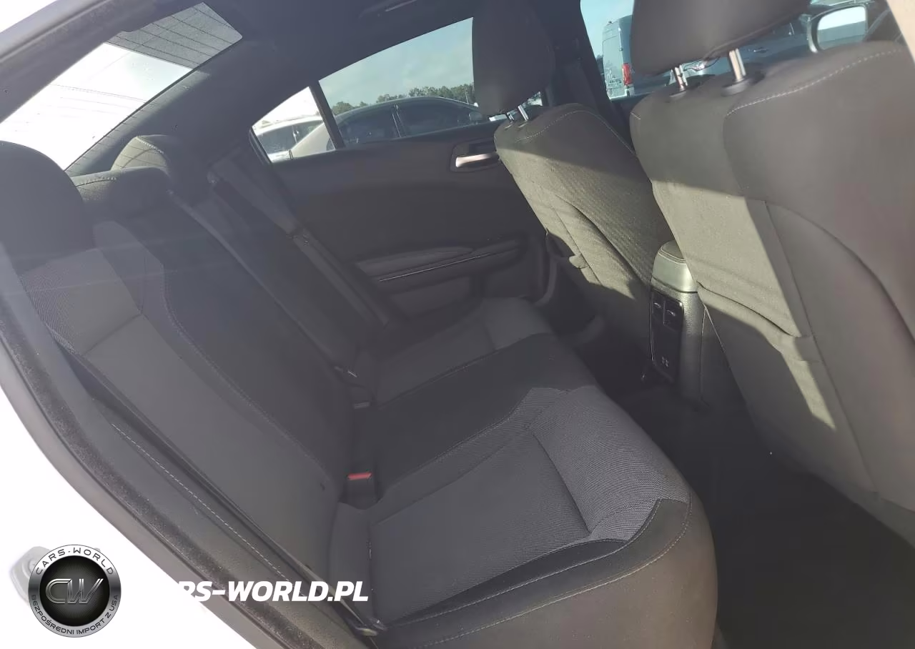 2020 Dodge Charger Sxt VIN:2C3CDXBG7LH233060 - 10