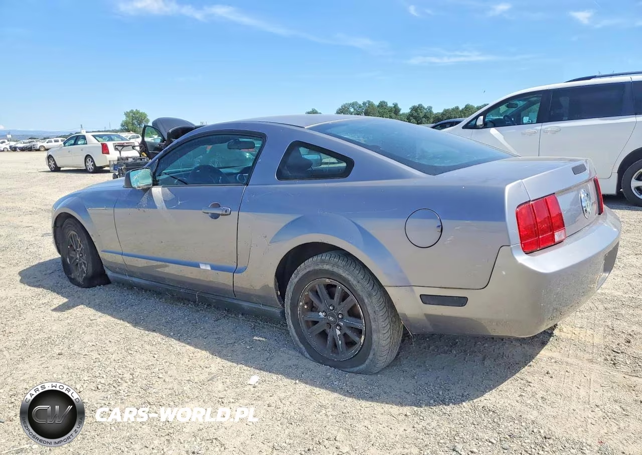 2006 Ford Mustang VIN:1ZVFT80N265201435 - 2