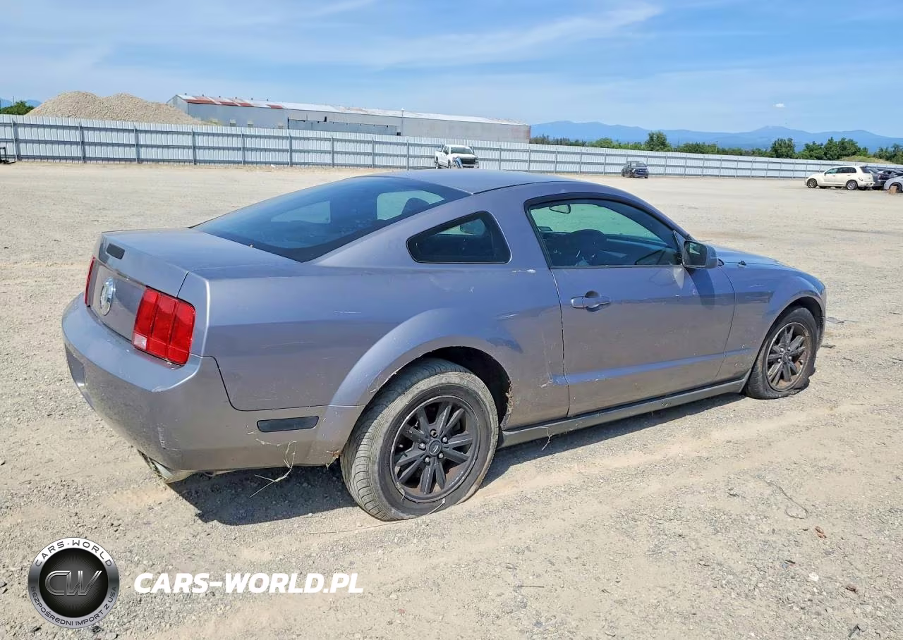 2006 Ford Mustang VIN:1ZVFT80N265201435 - 3