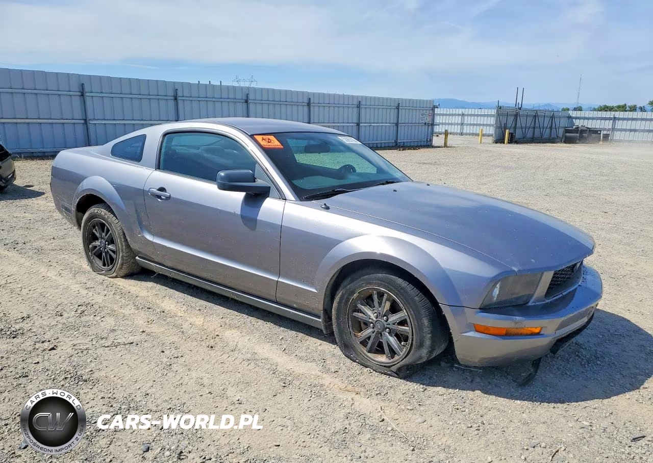 2006 Ford Mustang VIN:1ZVFT80N265201435 - 4