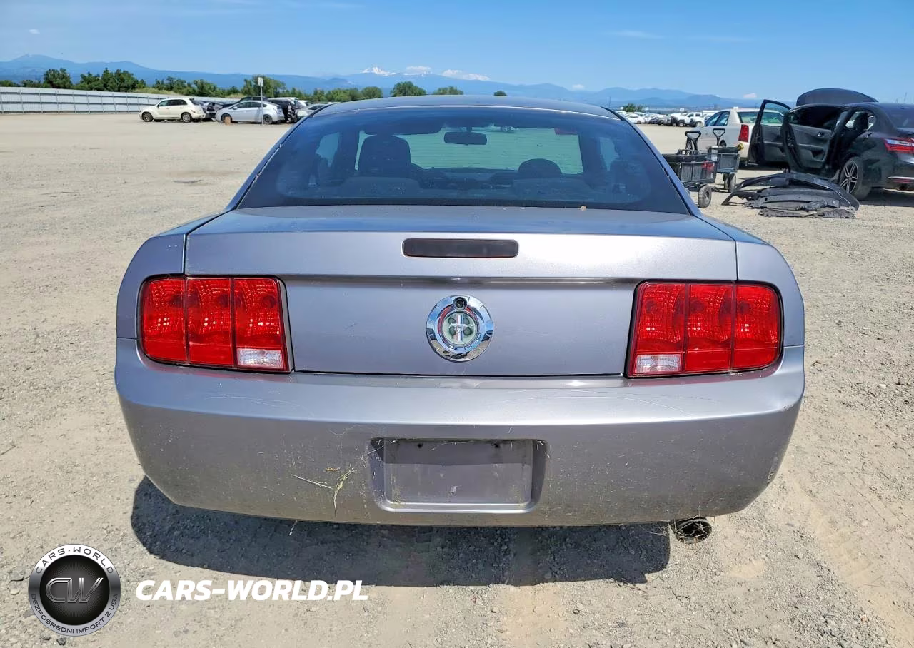 2006 Ford Mustang VIN:1ZVFT80N265201435 - 6