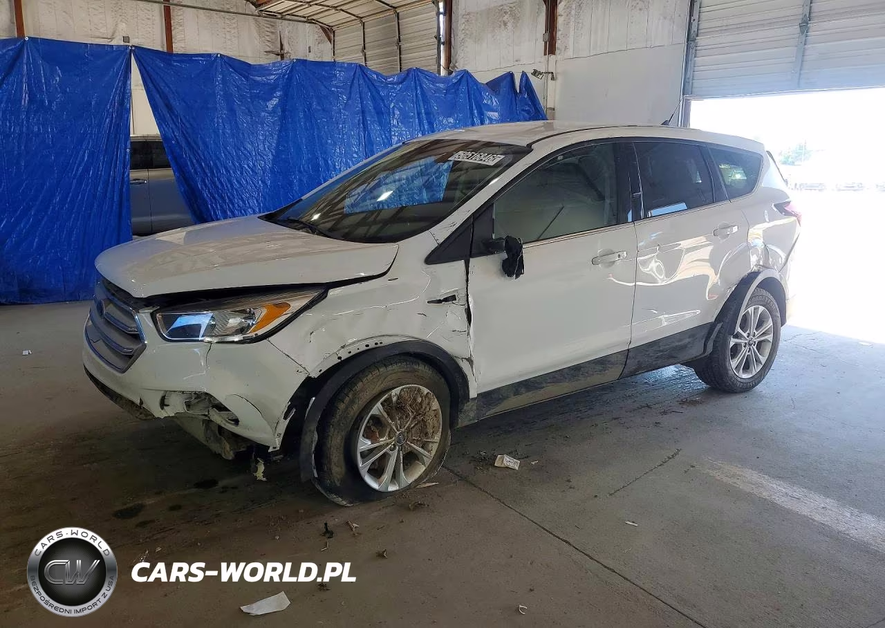 2019 Ford Escape Se