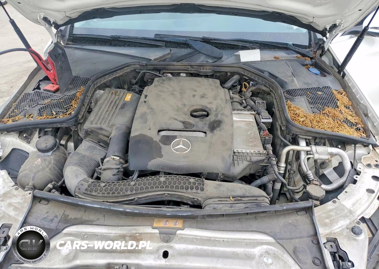 2018 Mercedes-Benz C 300 VIN:55SWF4JB1JU264295 - 11