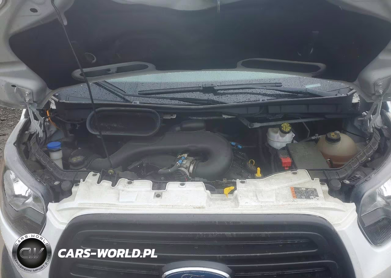 2019 Ford Transit 250 Delivery Van VIN:1FTYR2CM2KKA17473 - 11