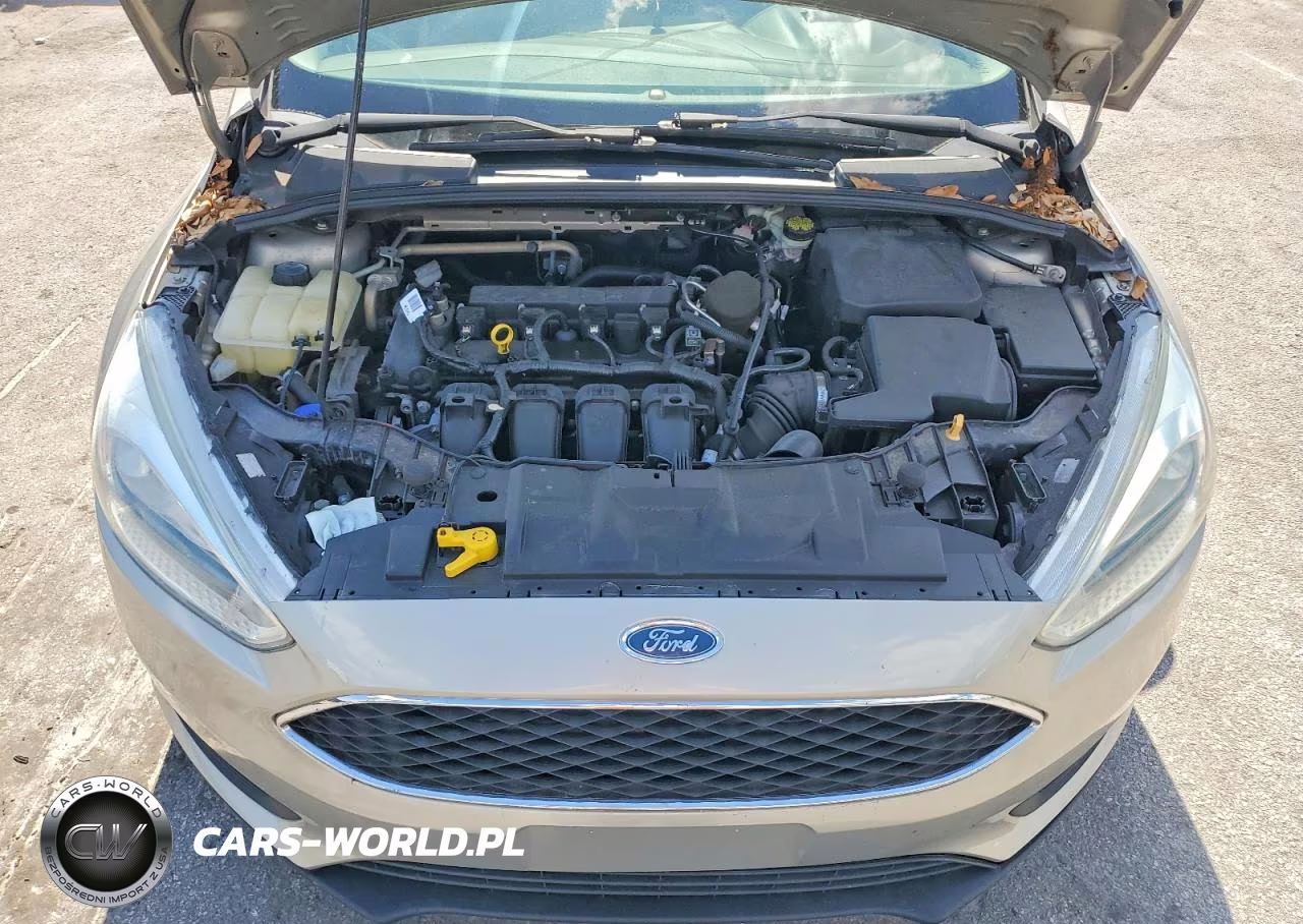 2016 FORD FOCUS SE VIN:1FADP3K25GL236896 - 11