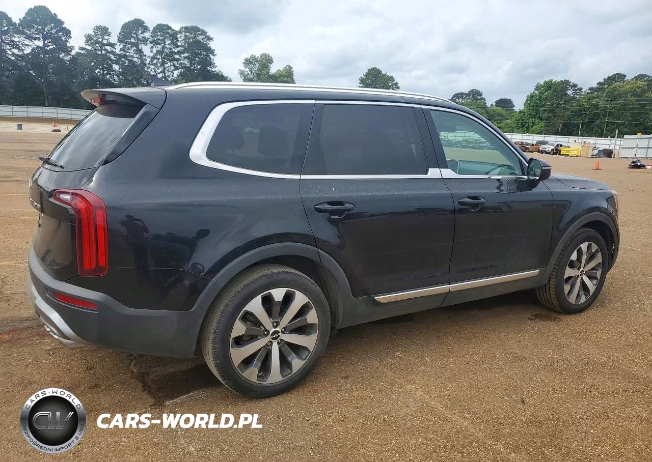 2022 Kia Telluride Ex VIN:5XYP34HC2NG211830 - 3