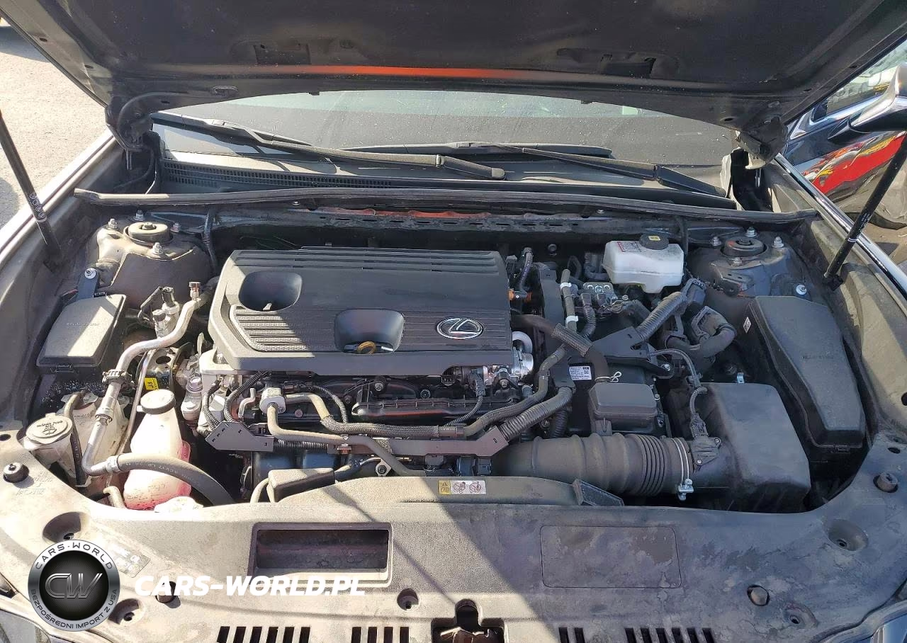2025 Lexus Es 300H Base VIN:58ADA1C13SU057155 - 11