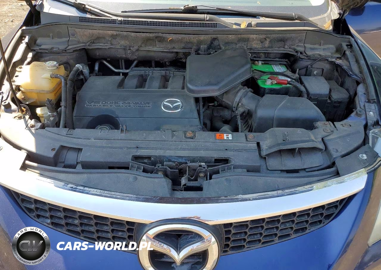 2009 Mazda Cx-9 VIN:JM3TB38V290178666 - 12