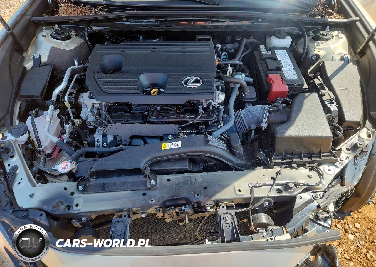 2024 Lexus Es 250 Base VIN:58AD11D18RU013550 - 11