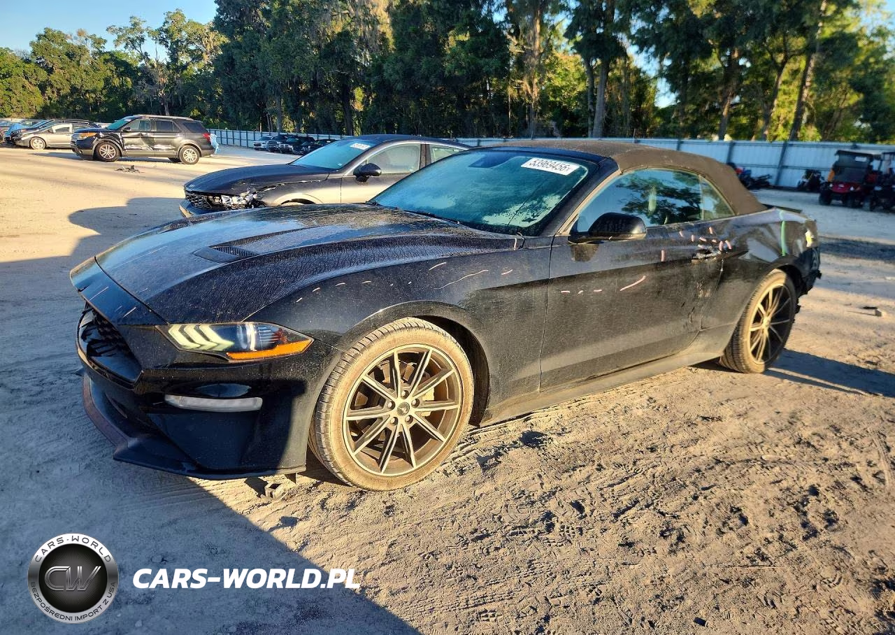 2019 Ford Mustang