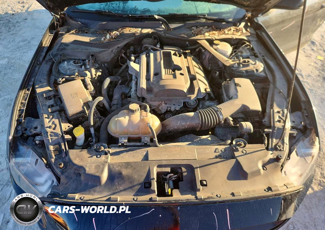 2019 Ford Mustang VIN:1FATP8UHXK5149700 - 11