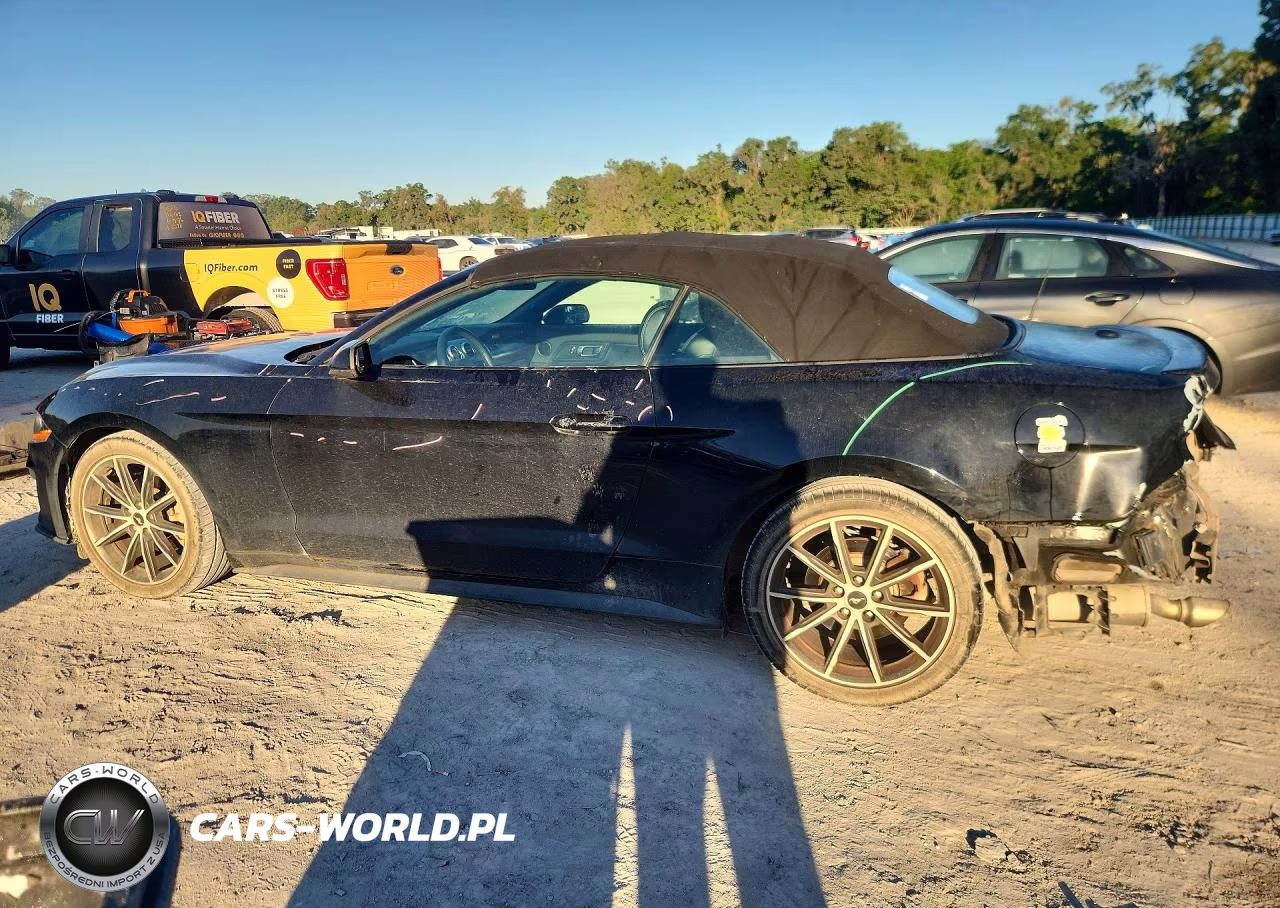 2019 Ford Mustang VIN:1FATP8UHXK5149700 - 2