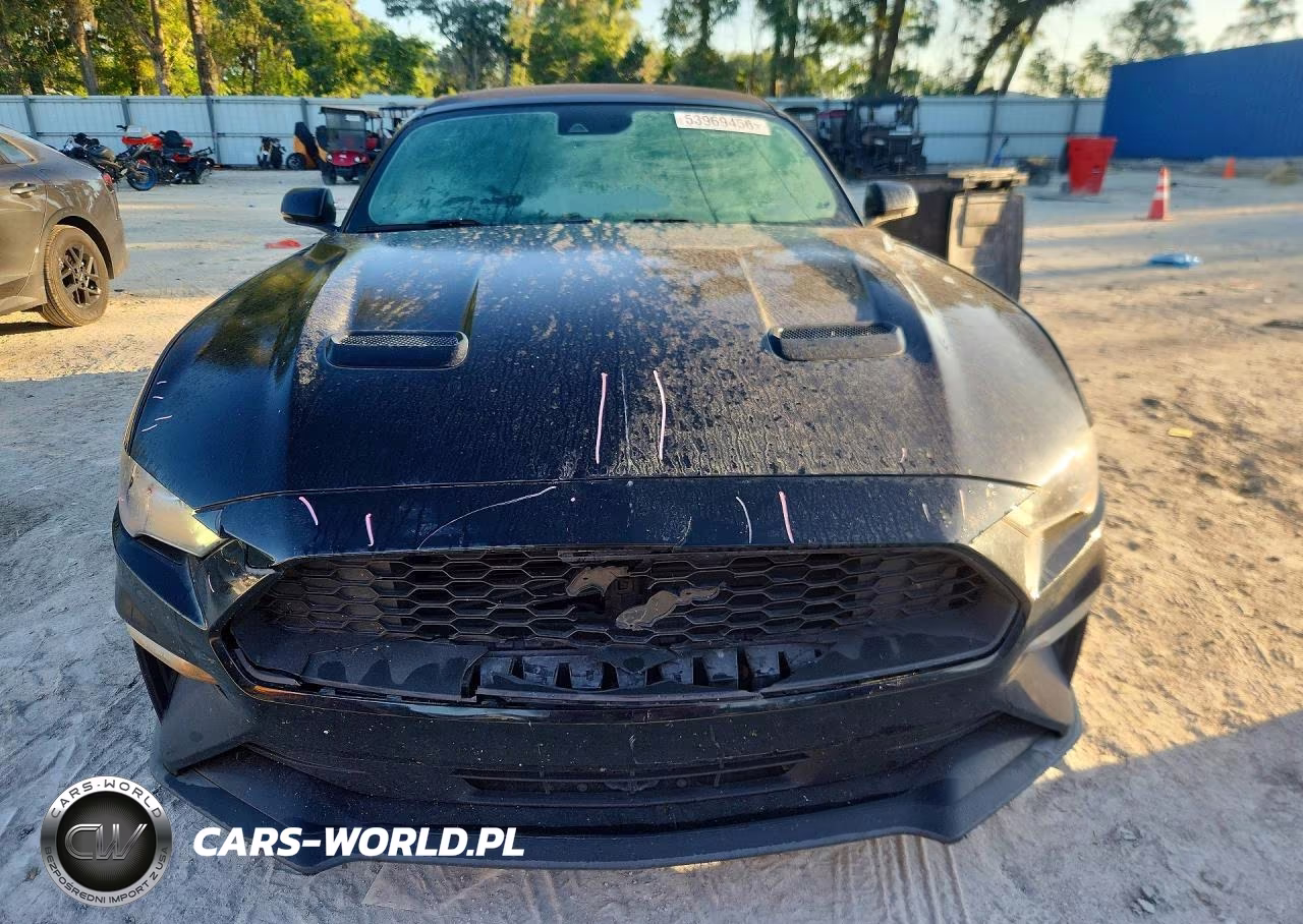 2019 Ford Mustang VIN:1FATP8UHXK5149700 - 5