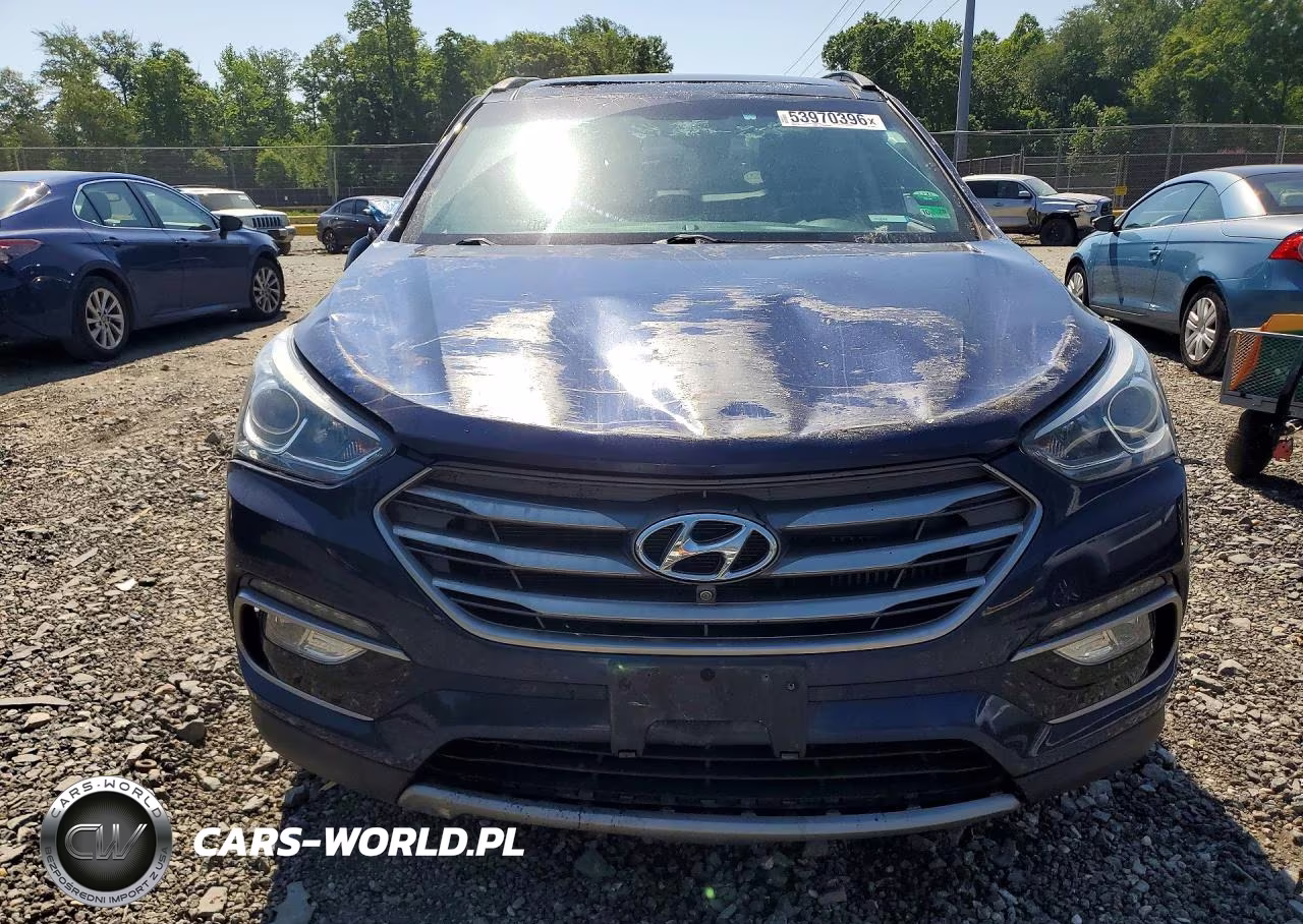 2017 Hyundai Santa Fe Sport 2.0T Ultimate VIN:5XYZW4LA2HG499097 - 5