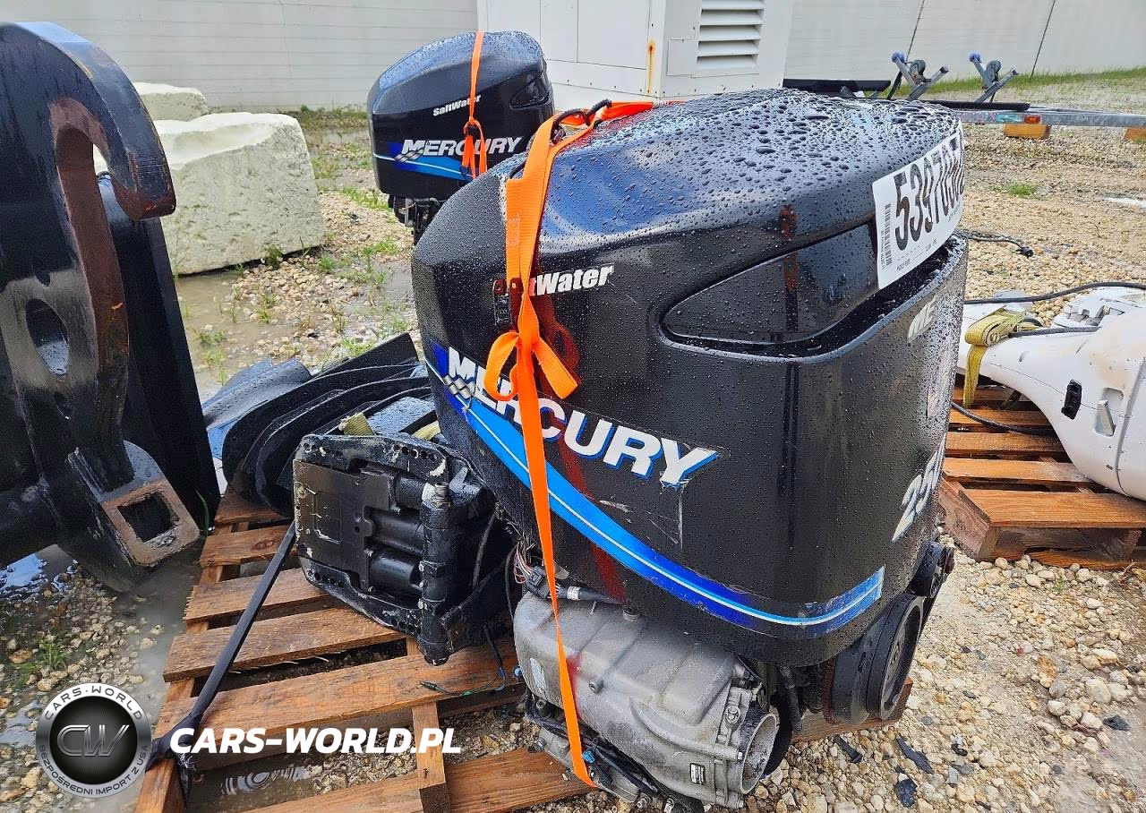 2011 Mercury Boat Engine