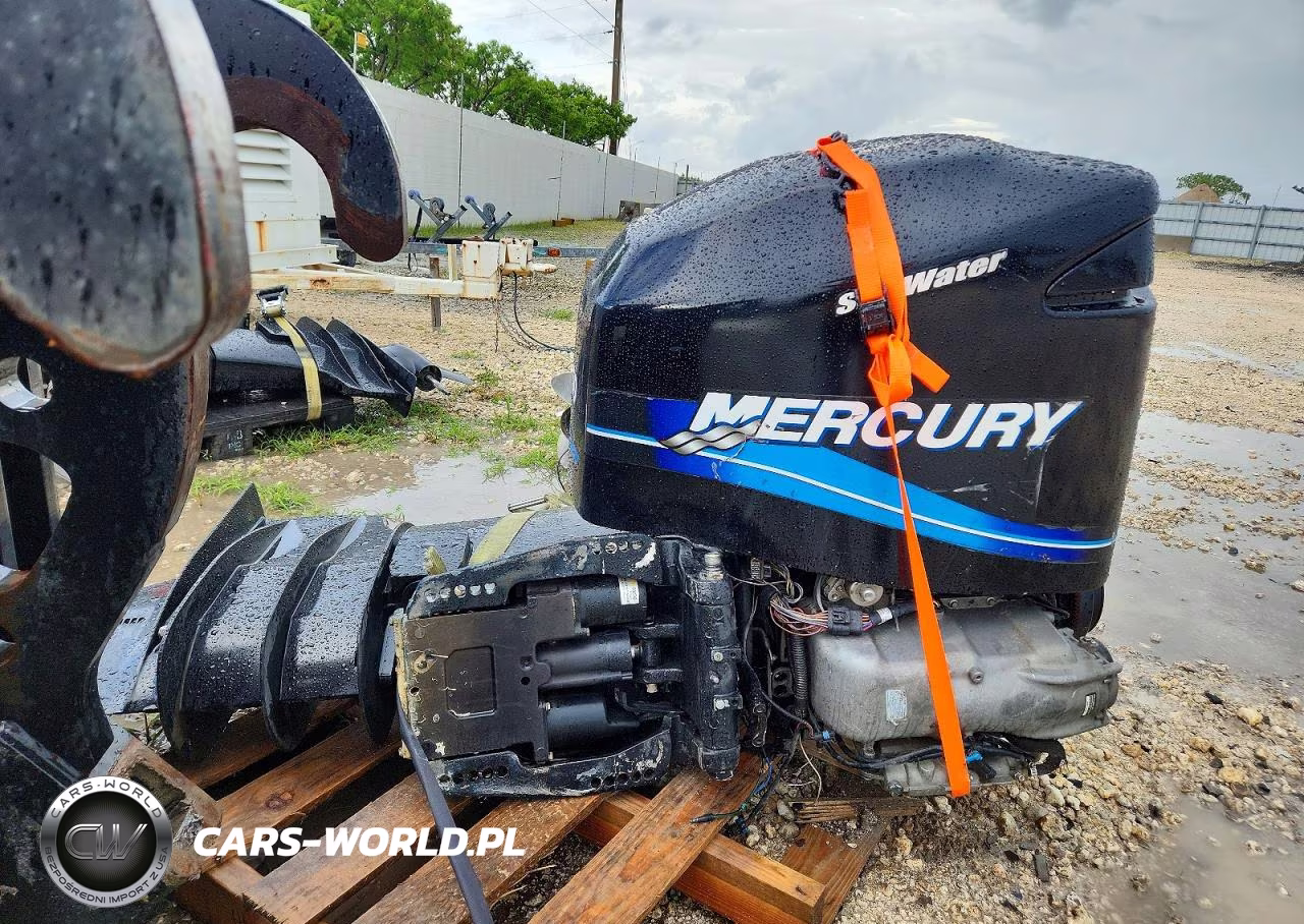 2011 Mercury Boat Engine VIN:12504333ZY - 4
