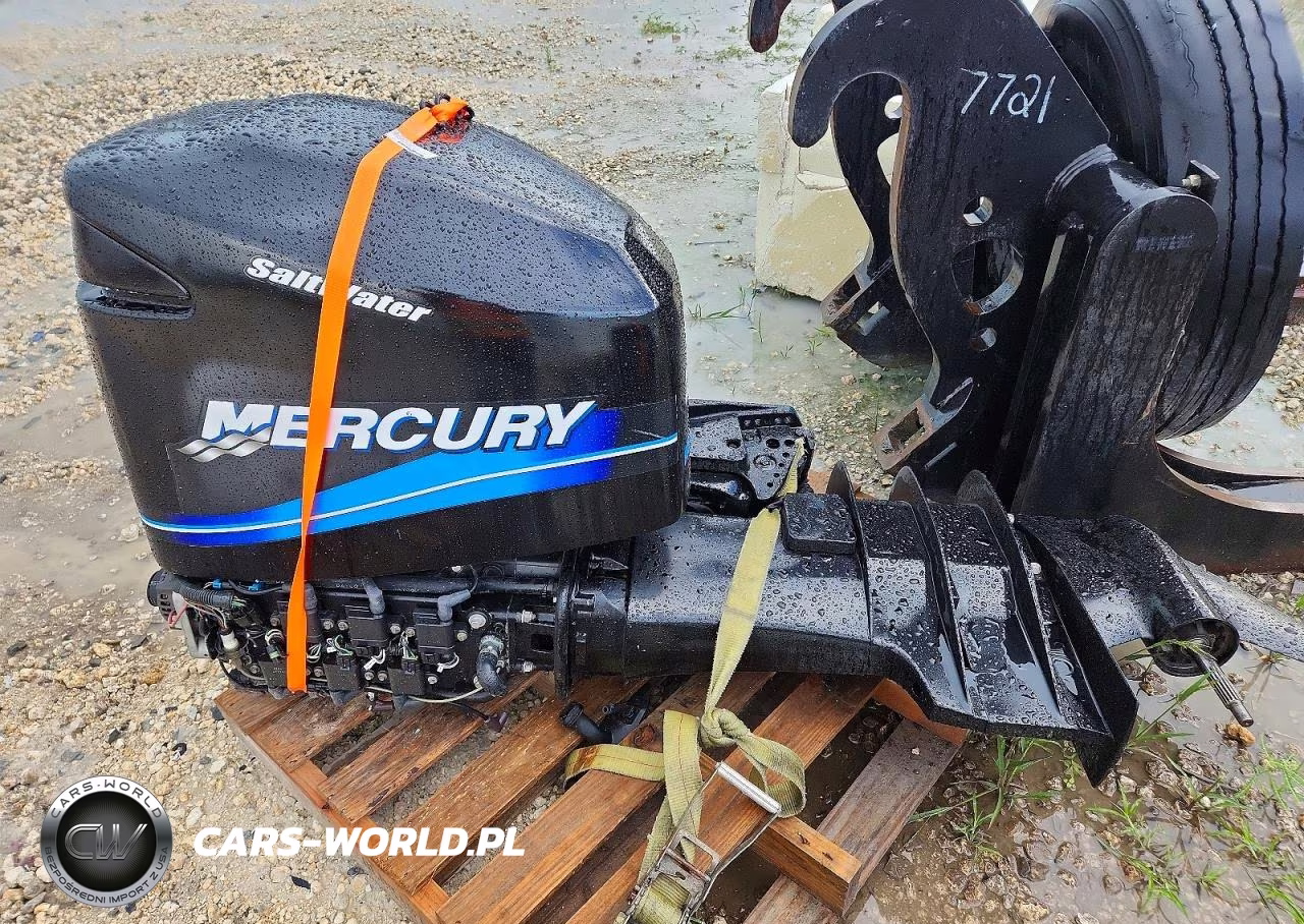 2011 Mercury Boat Engine VIN:12504333ZY - 7