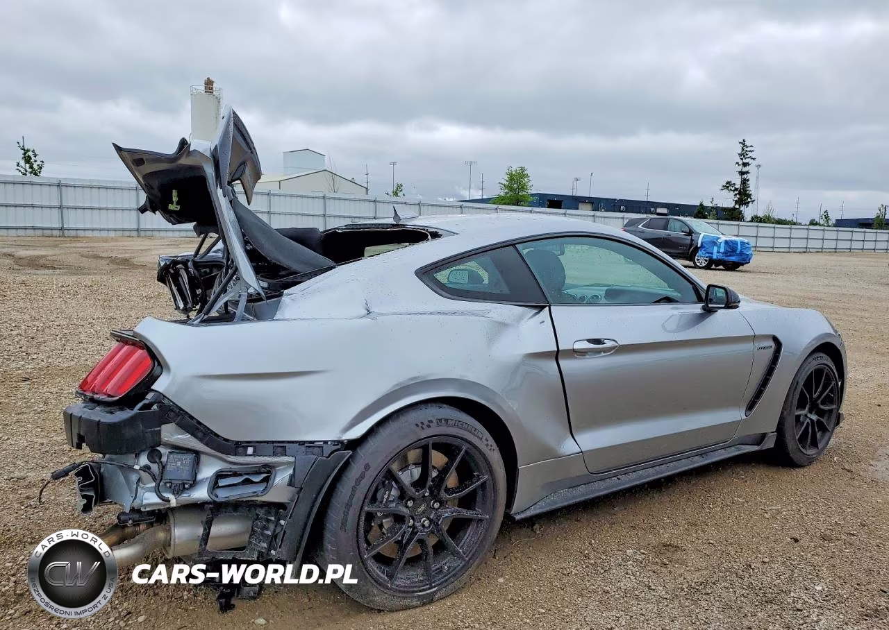 2020 Ford Mustang Shelby Gt350 VIN:1FA6P8JZ6L5551970 - 3