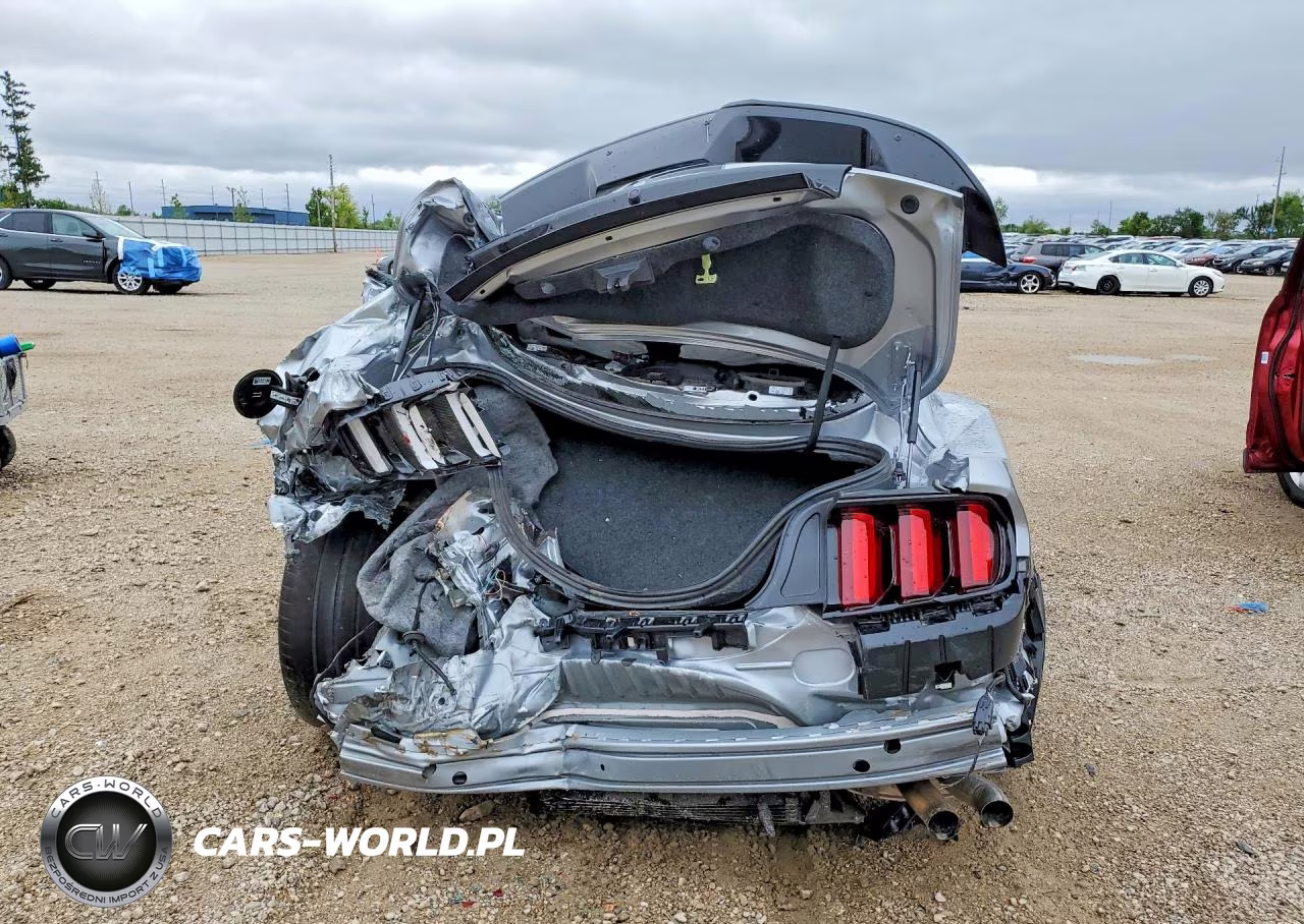 2020 Ford Mustang Shelby Gt350 VIN:1FA6P8JZ6L5551970 - 6