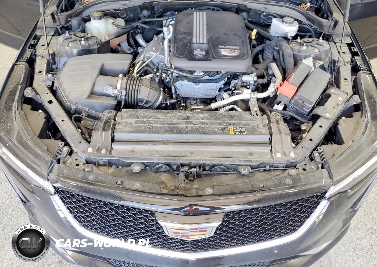 2023 Cadillac Ct4 Sport VIN:1G6DC5RK0P0113437 - 11