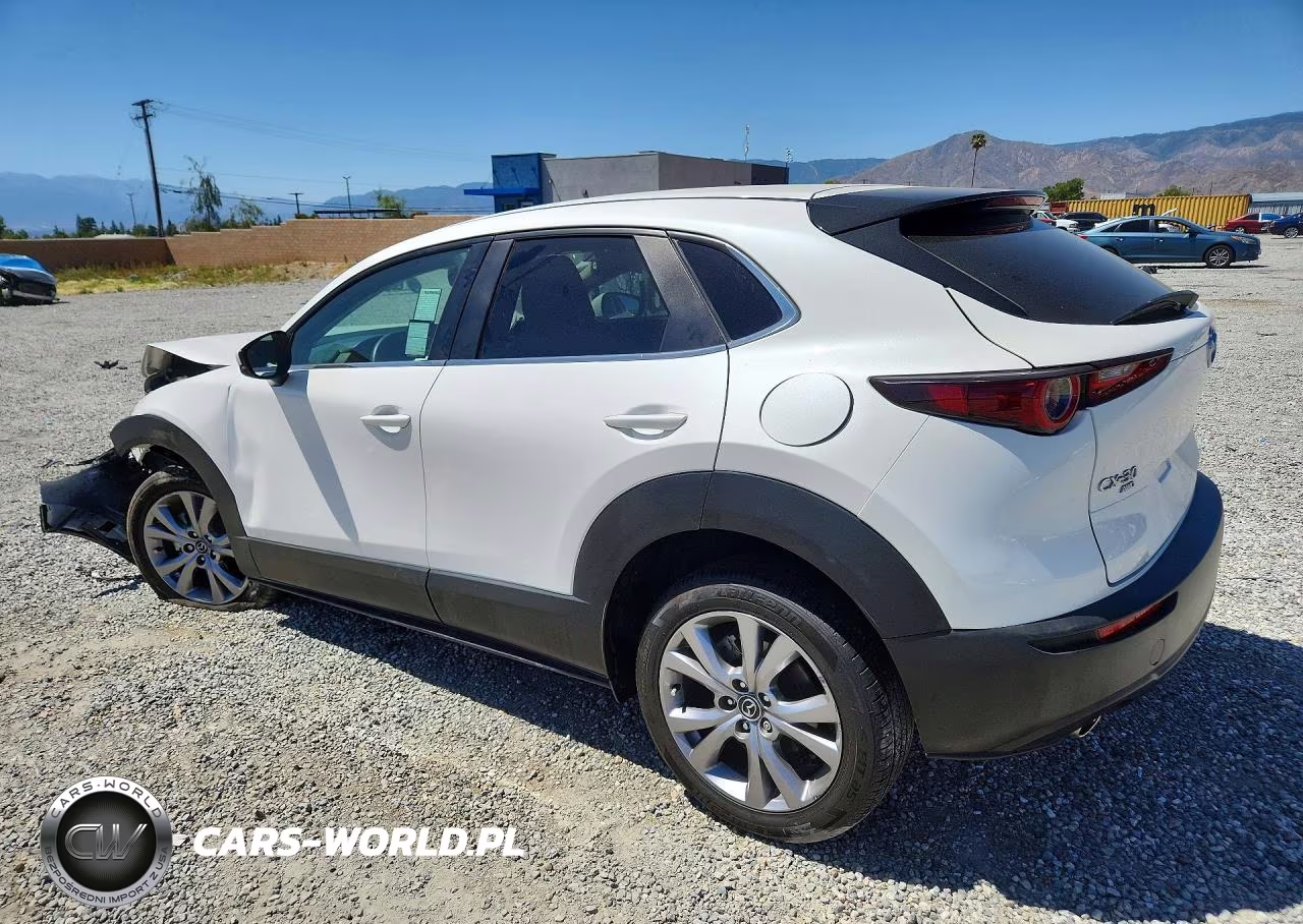 2021 Mazda Cx-30 Select VIN:3MVDMBBLXMM226024 - 2