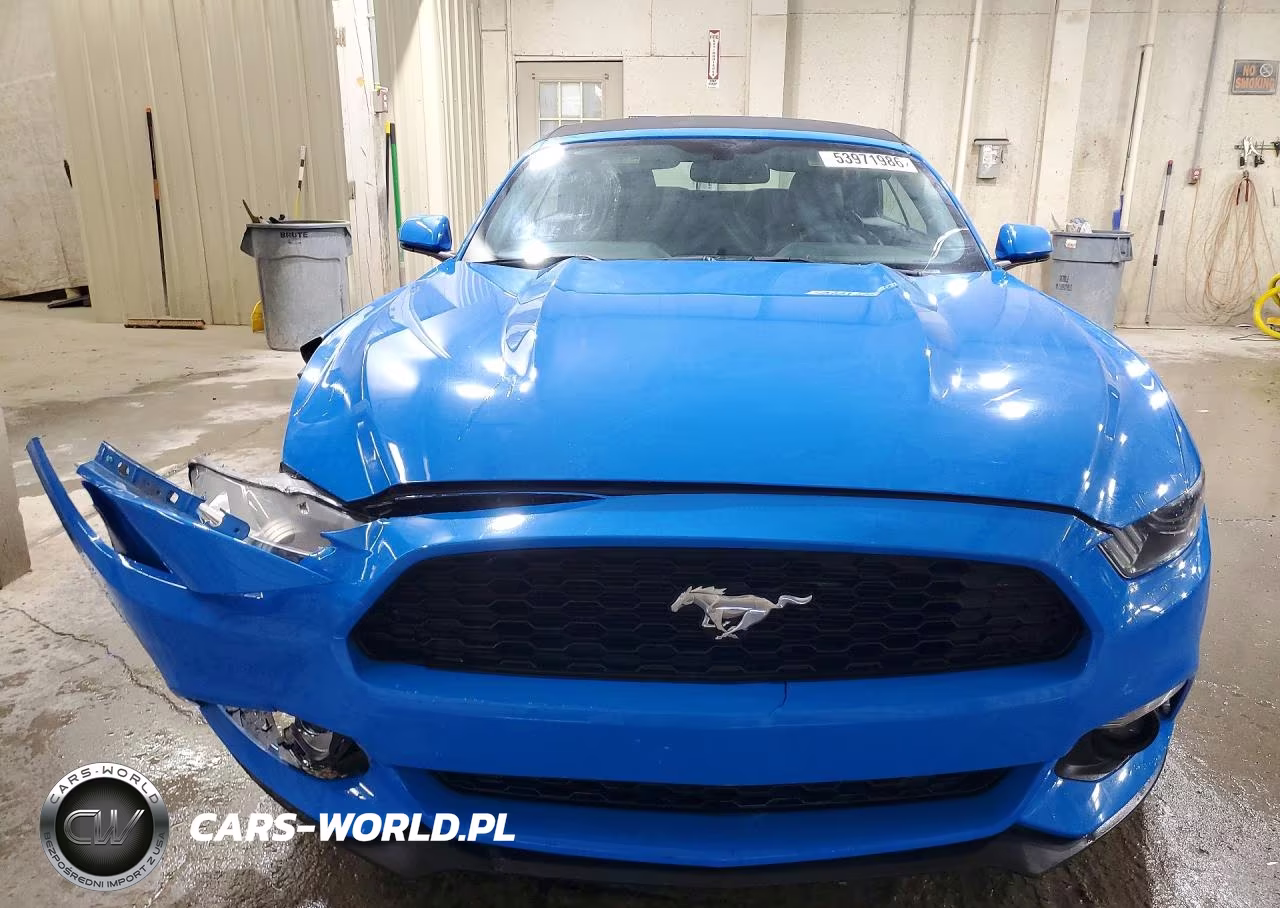 2017 Ford Mustang VIN:1FATP8UH8H5228341 - 5