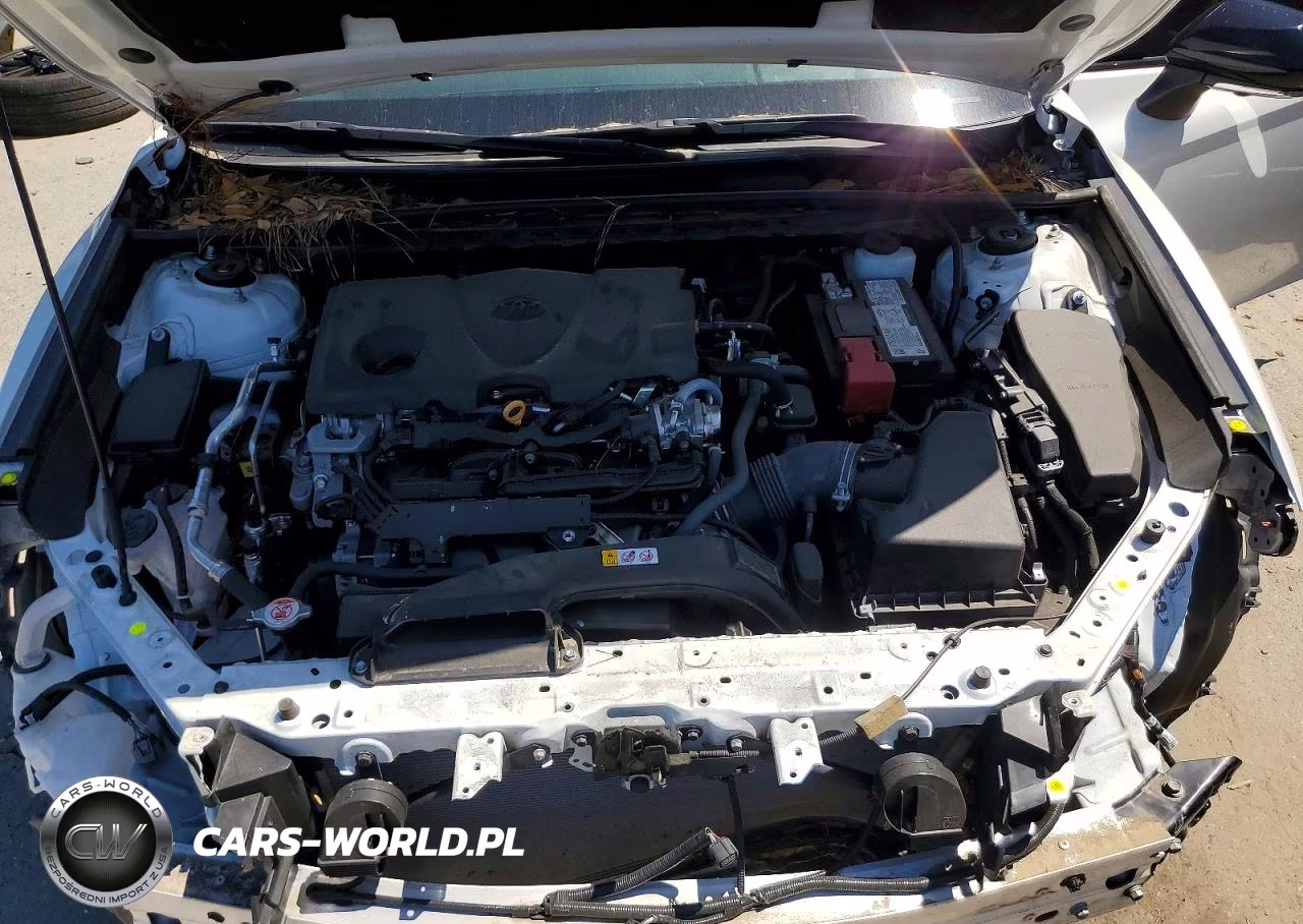 2024 Toyota Camry Xse VIN:4T1K61AK4RU226654 - 11