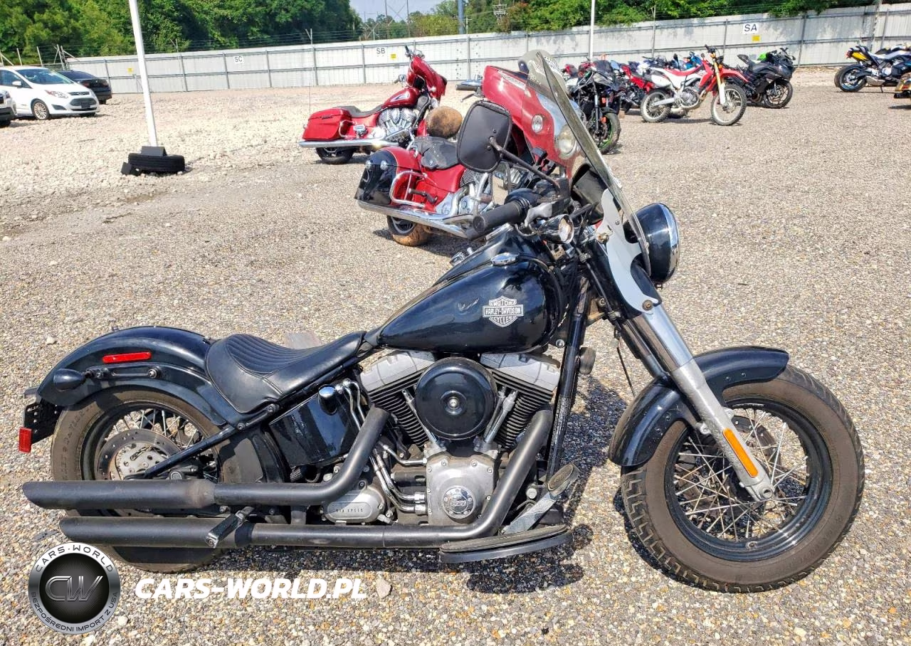 2013 Harley-Davidson Fls Softail Slim