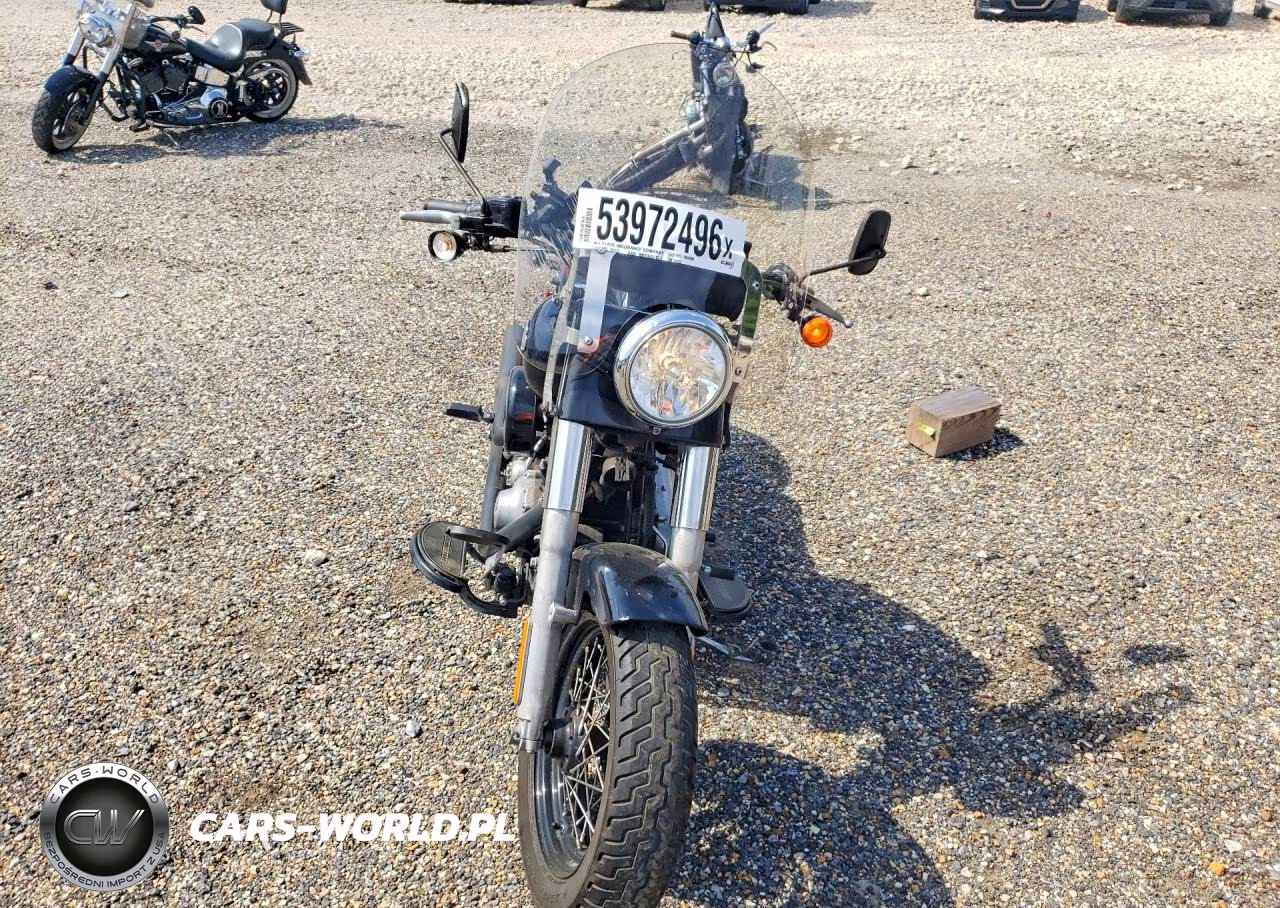 2013 Harley-Davidson Fls Softail Slim VIN:1HD1JRV1XDB013693 - 2