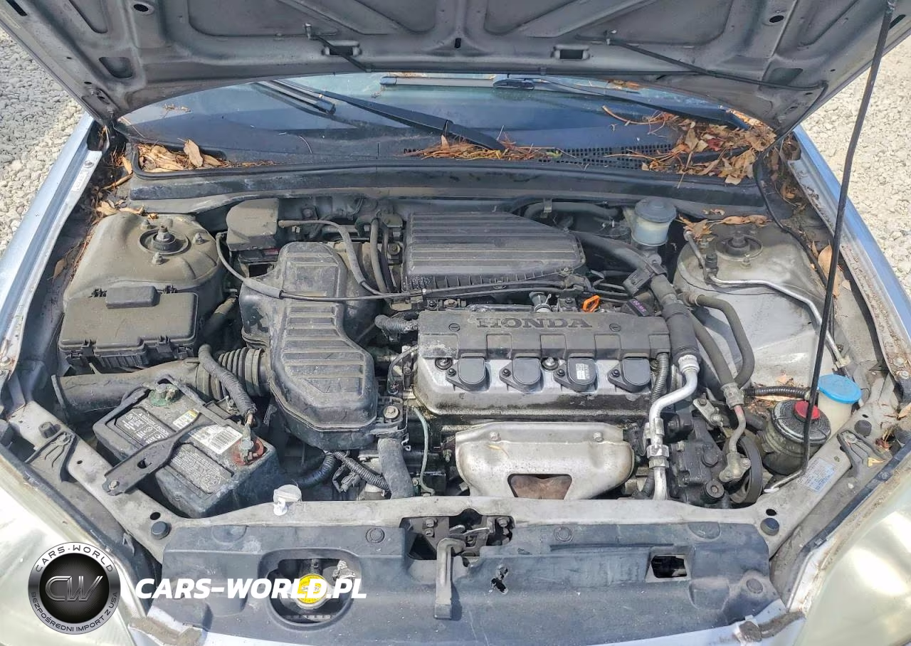 2003 Honda Civic Lx VIN:2HGES16553H610065 - 11