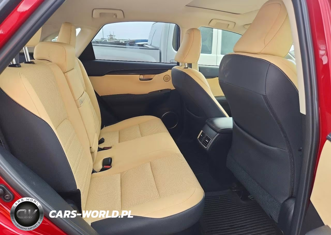 2020 Lexus Nx 300 VIN:JTJDARDZ7L5018785 - 10