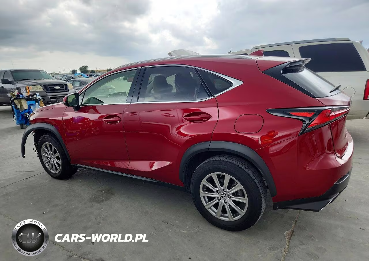 2020 Lexus Nx 300 VIN:JTJDARDZ7L5018785 - 2