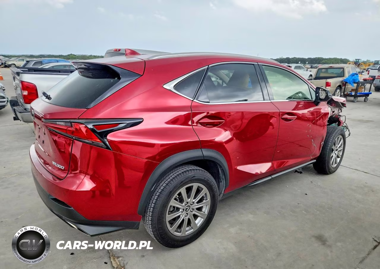 2020 Lexus Nx 300 VIN:JTJDARDZ7L5018785 - 3