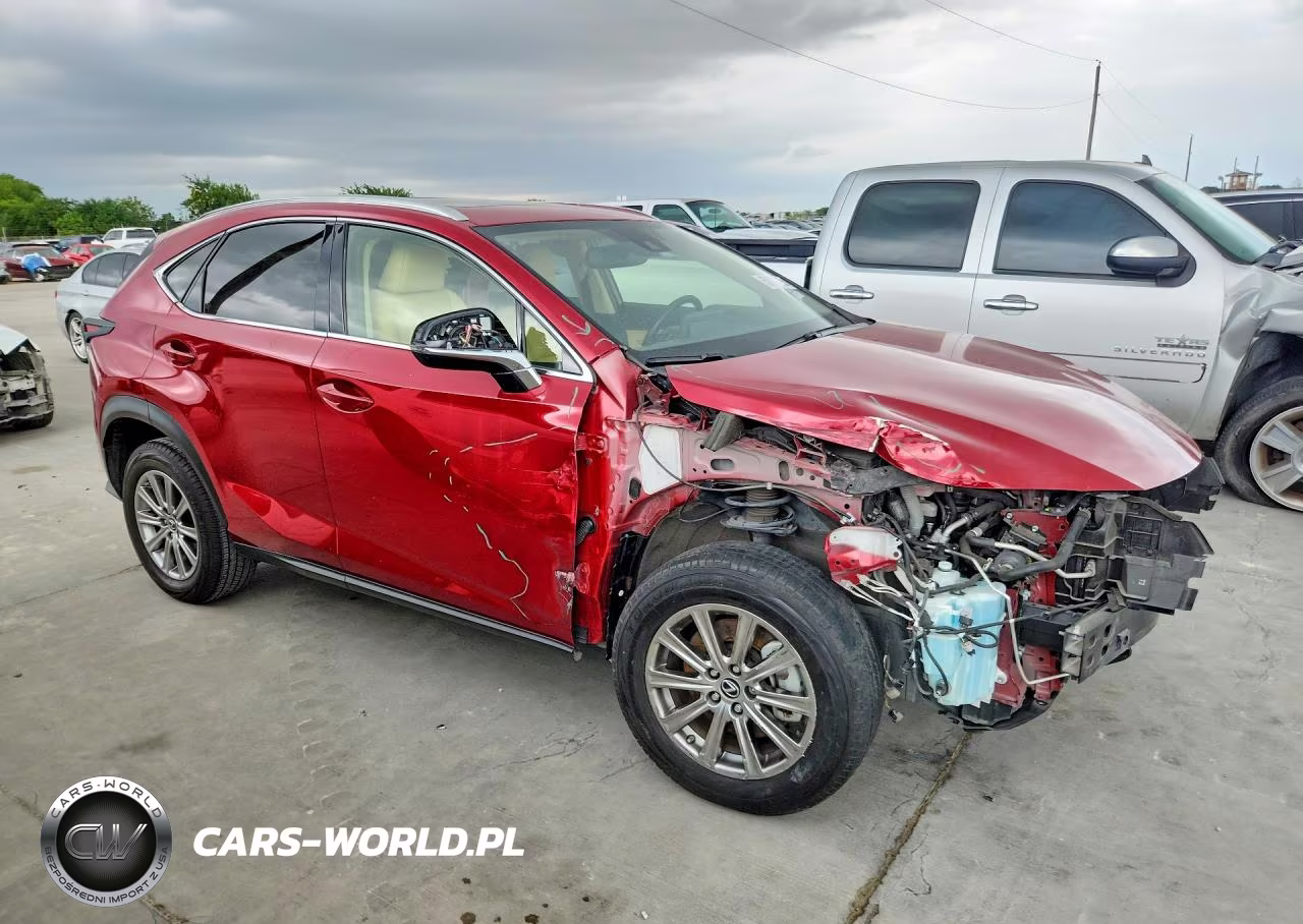 2020 Lexus Nx 300 VIN:JTJDARDZ7L5018785 - 4