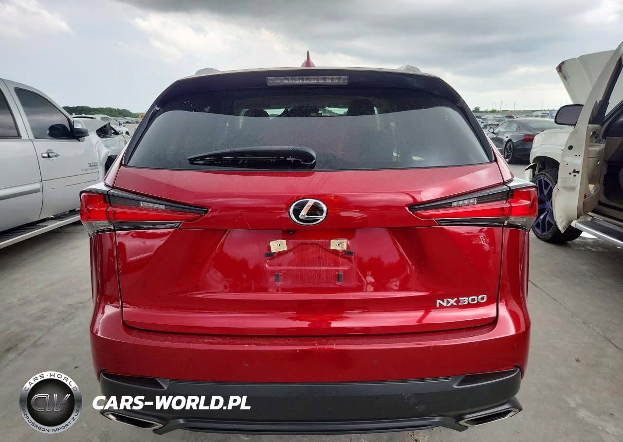 2020 Lexus Nx 300 VIN:JTJDARDZ7L5018785 - 6