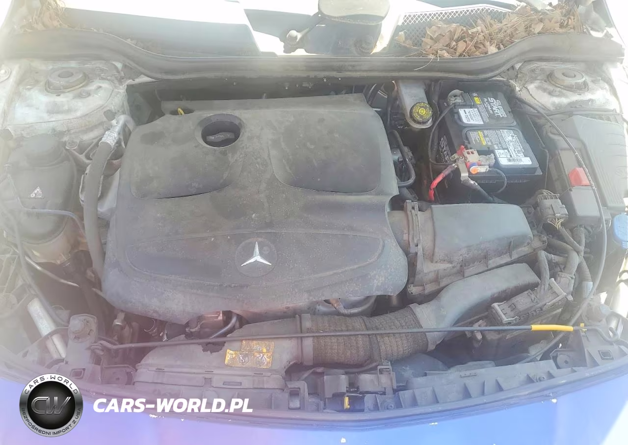 2014 Mercedes-Benz Cla 250 VIN:WDDSJ4EB9EN054999 - 11