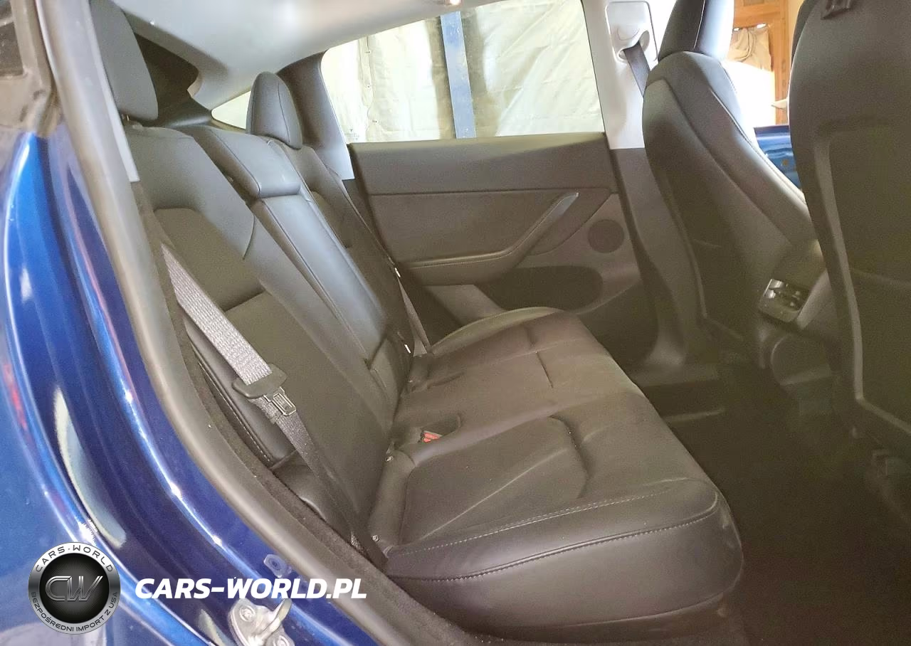2024 Tesla Model Y VIN:7SAYGDEE6RF988123 - 11