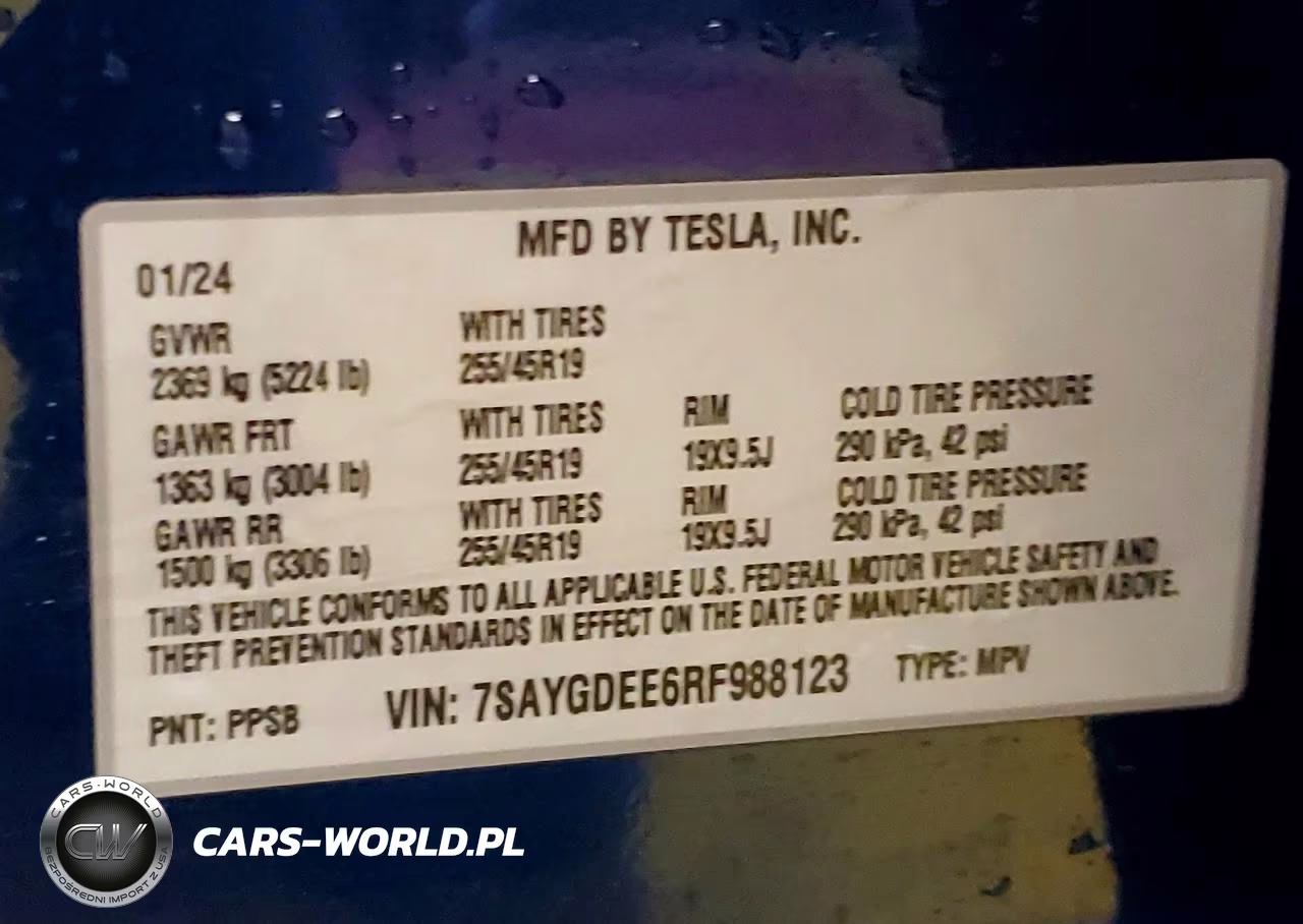 2024 Tesla Model Y VIN:7SAYGDEE6RF988123 - 14