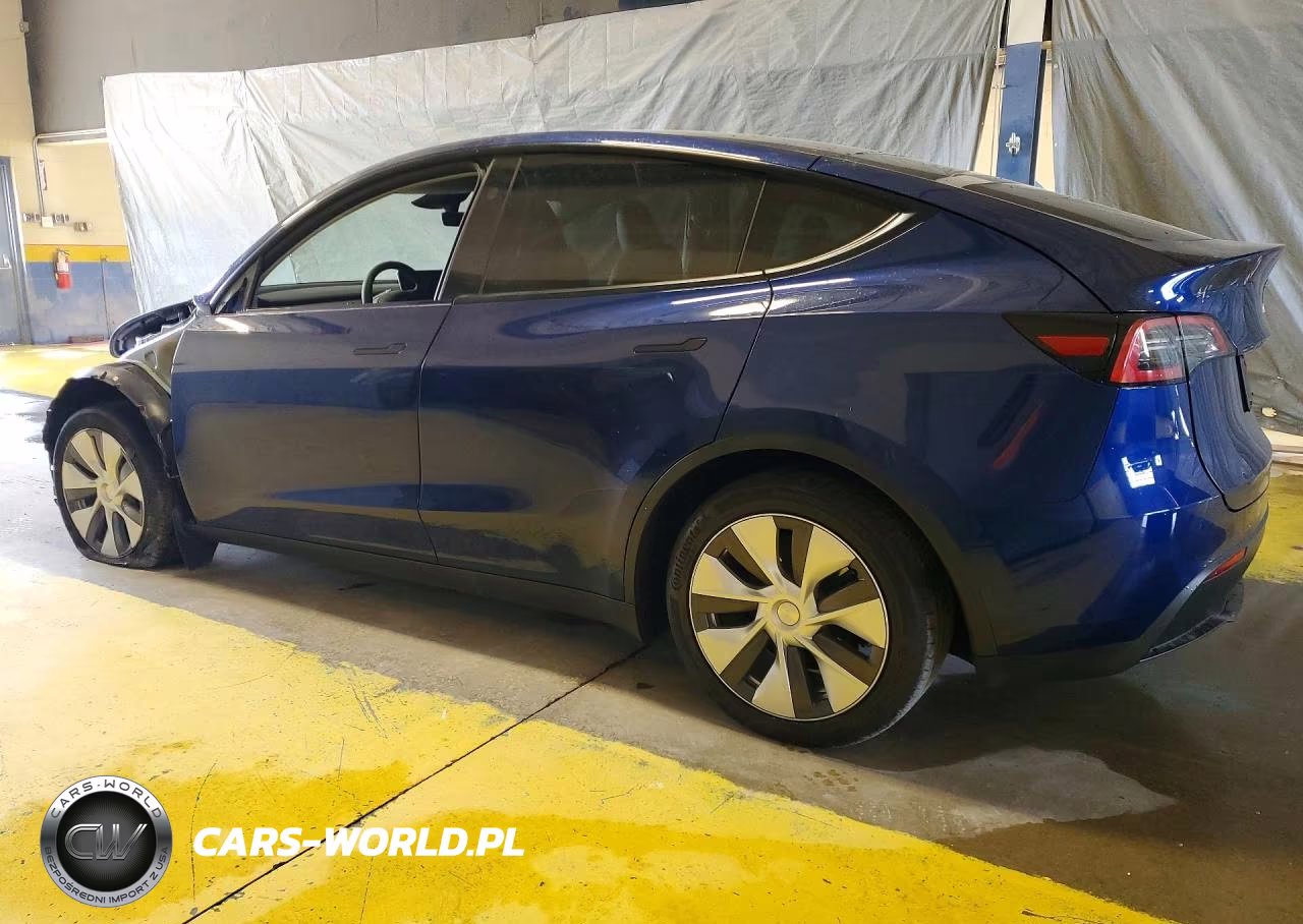 2024 Tesla Model Y VIN:7SAYGDEE6RF988123 - 2