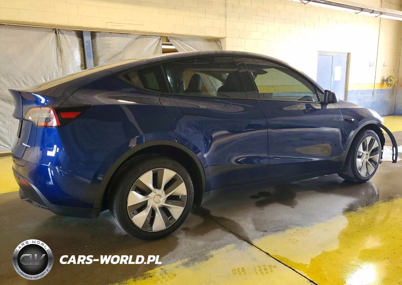 2024 Tesla Model Y VIN:7SAYGDEE6RF988123 - 3