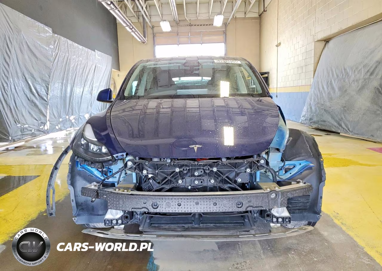 2024 Tesla Model Y VIN:7SAYGDEE6RF988123 - 5