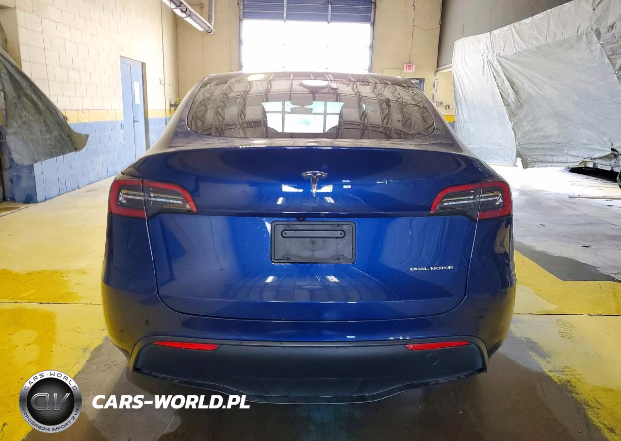 2024 Tesla Model Y VIN:7SAYGDEE6RF988123 - 6