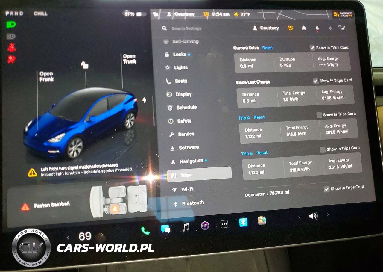 2024 Tesla Model Y VIN:7SAYGDEE6RF988123 - 9