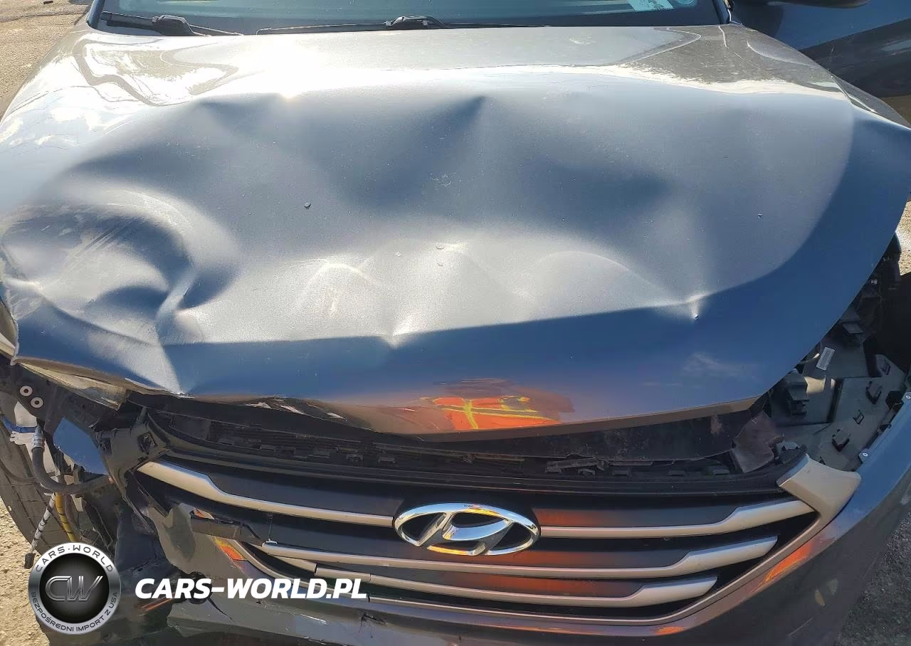 2018 Hyundai Tucson VIN:KM8J33A24JU784105 - 12