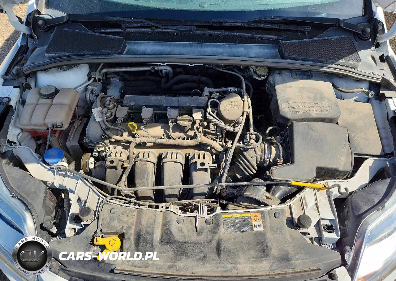 2013 Ford Focus Se VIN:1FADP3F25DL351827 - 11