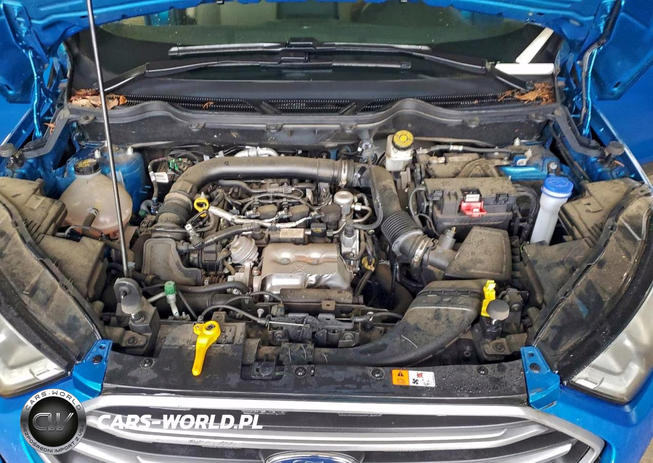 2019 Ford Ecosport Se VIN:MAJ3S2GE2KC280113 - 12